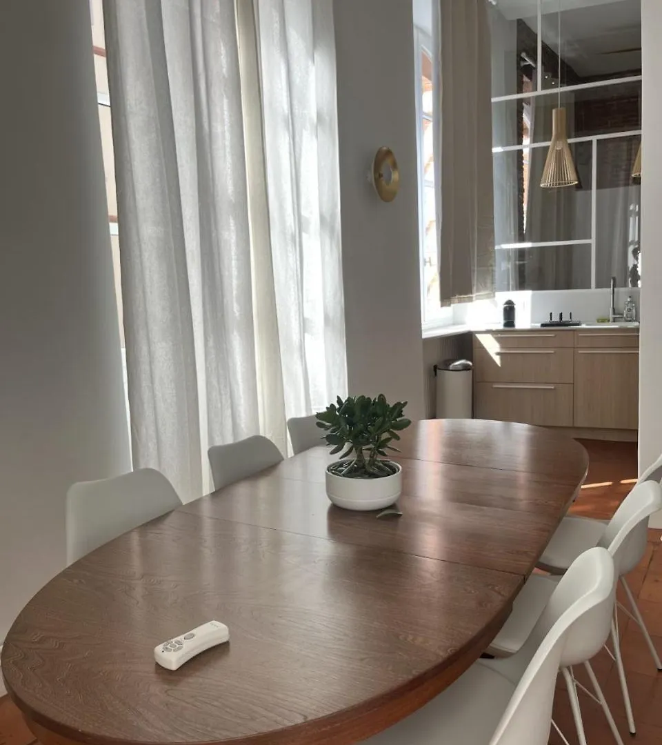 Renovation D'Architecte Dans Le Coeur Historique De Toulouse Διαμέρισμα