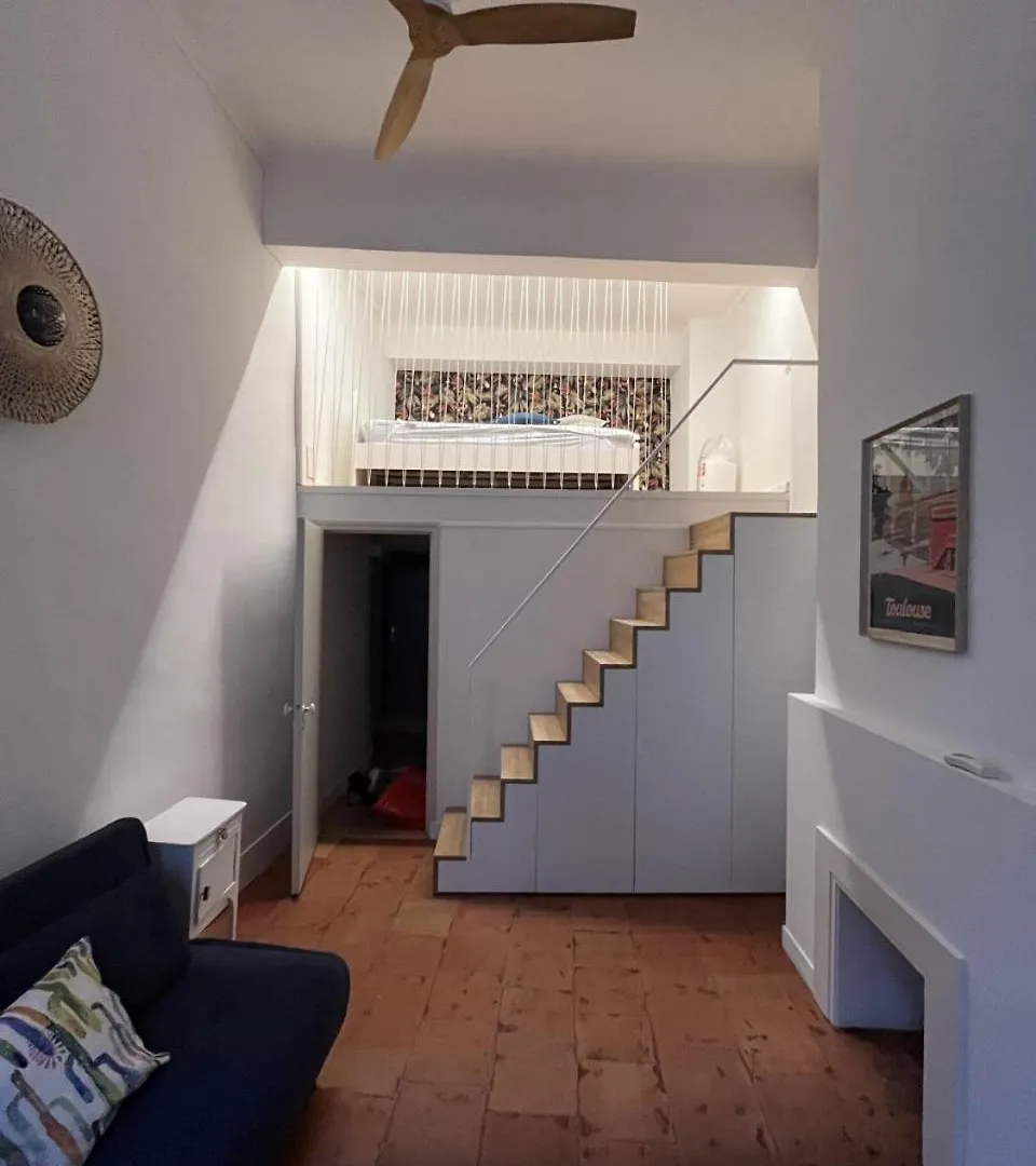 Renovation D'Architecte Dans Le Coeur Historique De Toulouse Διαμέρισμα 0*,  Γαλλία