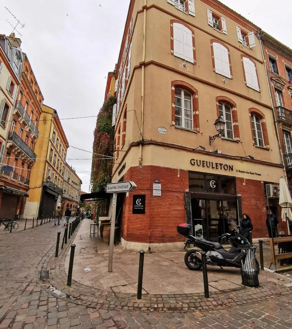 Renovation D'Architecte Dans Le Coeur Historique De Toulouse Διαμέρισμα